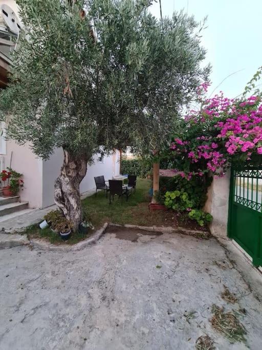 Semelia'S Guest House Spata  Bagian luar foto